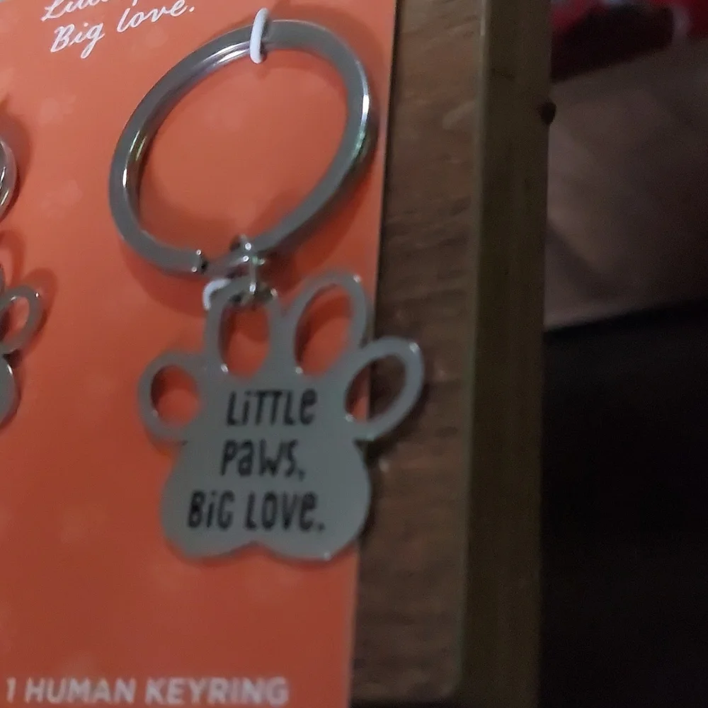 Hallmark Stainless Steel Pet Tag/Human Keyring Besties